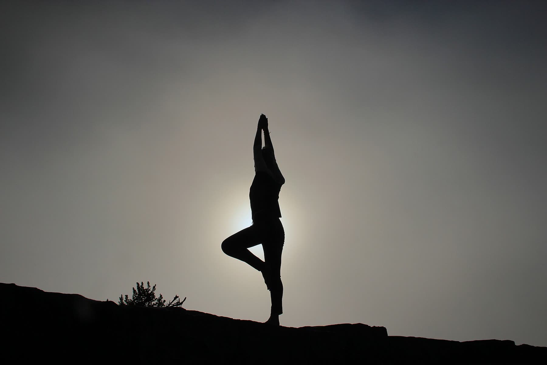 Arrive. Breathe. Move.